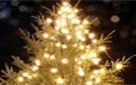 christmas_tree.jpg
