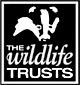cumbria_wildlife_trust85px.jpg