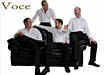 voce_small.jpg