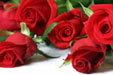 wedding_roses_small.jpg