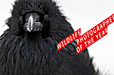 wildlife_photographer_year_small.jpg