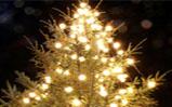 Grange-over-Sands Christmas Extravaganza