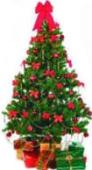 Christmas Trees Stribers Farm